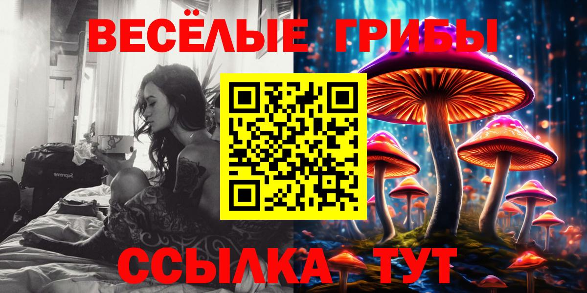 Псилоцибиновые грибы мухоморы Котельники